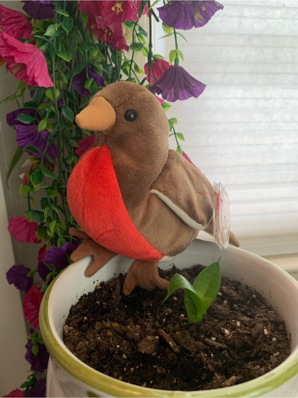 Ty 1998 NWT Early the Robin Bird Plush Beanie Baby